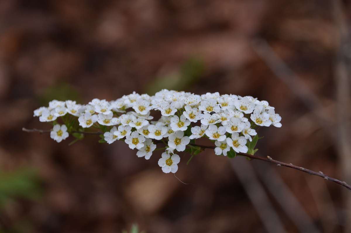 2014-03-31 16-54-53.JPG